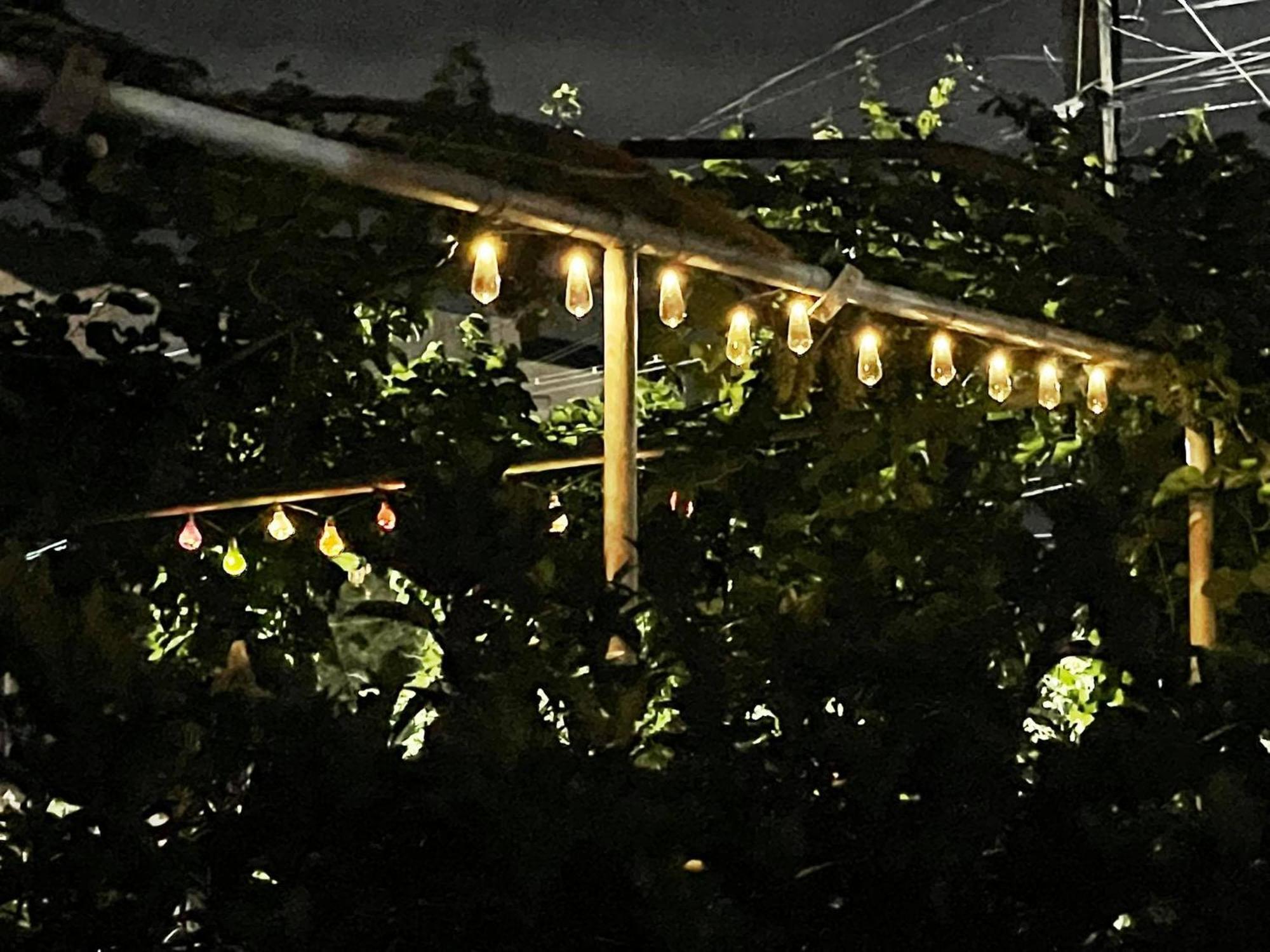 House Of Greenery Kutaisi Bagian luar foto