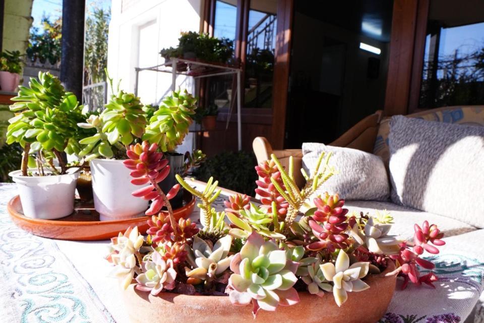 House Of Greenery Kutaisi Bagian luar foto